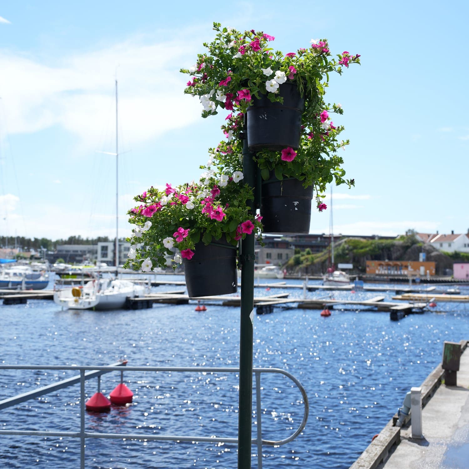 Et bilde som er lagt til i innlegget.